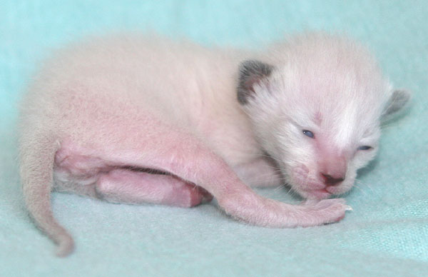 Photo: Carolin Skirl