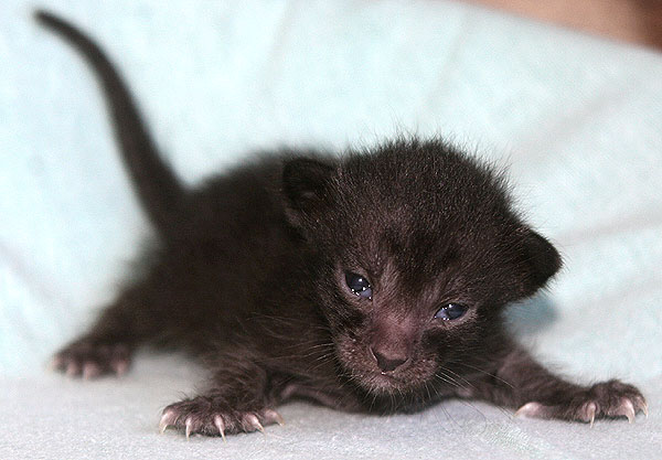 Photo: Carolin Skirl