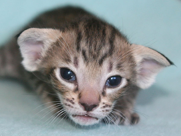 Photo: Carolin Skirl