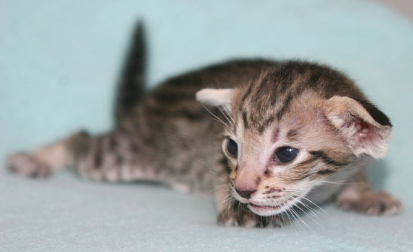 Photo: Carolin Skirl