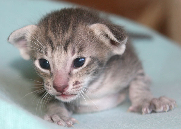 Photo: Carolin Skirl