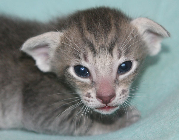 Photo: Carolin Skirl