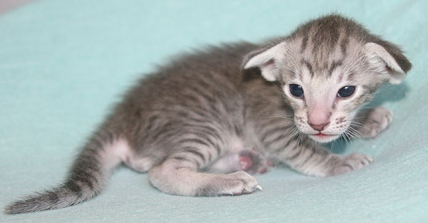 Photo: Carolin Skirl