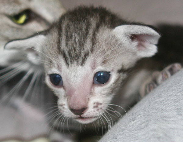 Photo: Carolin Skirl