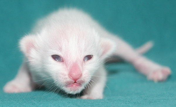 Photo: Carolin Skirl