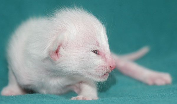 Photo: Carolin Skirl