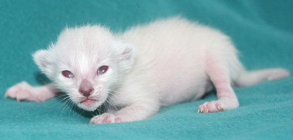 Photo: Carolin Skirl