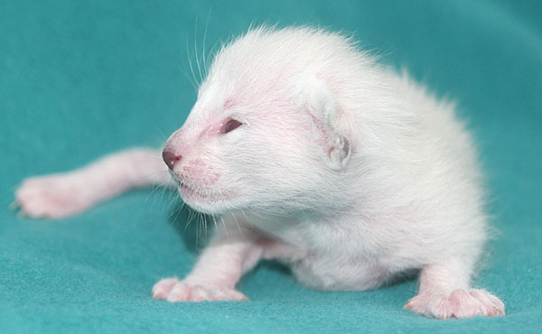 Photo: Carolin Skirl