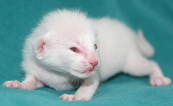 Photo: Carolin Skirl