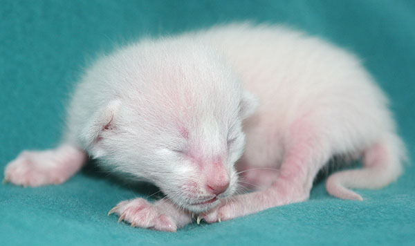 Photo: Carolin Skirl