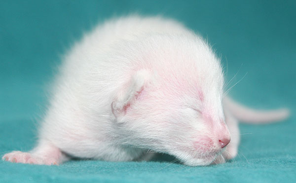 Photo: Carolin Skirl