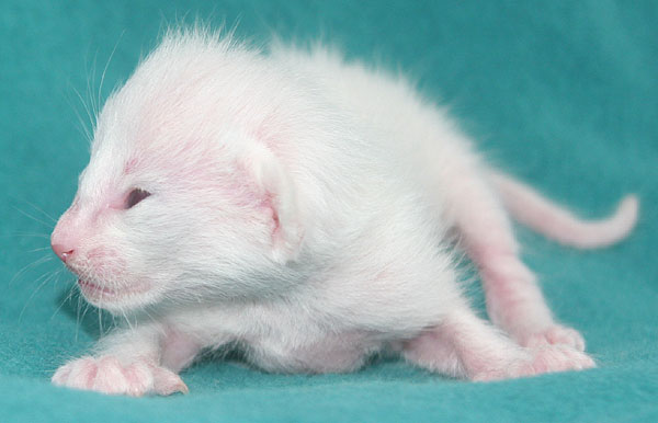 Photo: Carolin Skirl