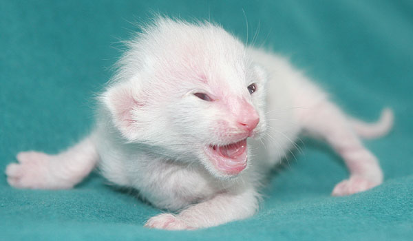 Photo: Carolin Skirl