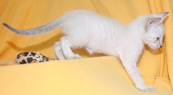 Photo: Carolin Skirl