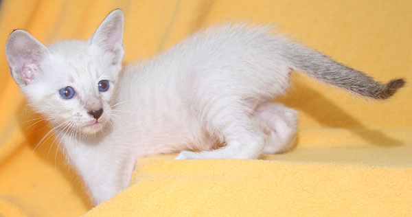 Photo: Carolin Skirl