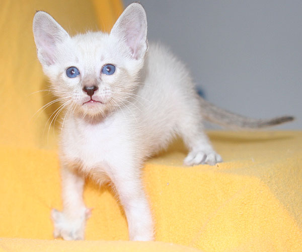 Photo: Carolin Skirl