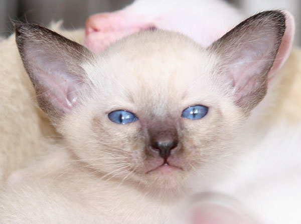 Photo: Carolin Skirl