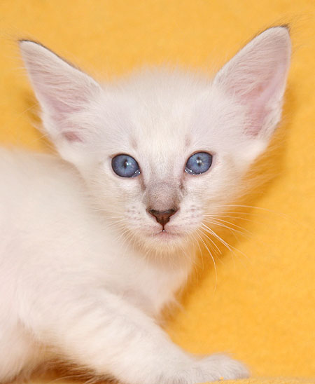 Photo: Carolin Skirl