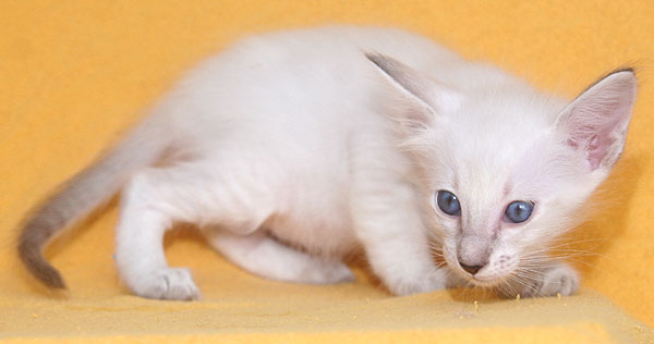 Photo: Carolin Skirl