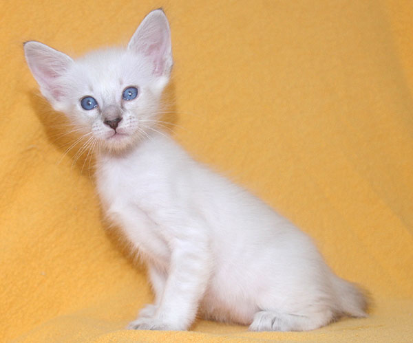 Photo: Carolin Skirl