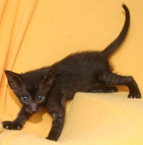 Photo: Carolin Skirl