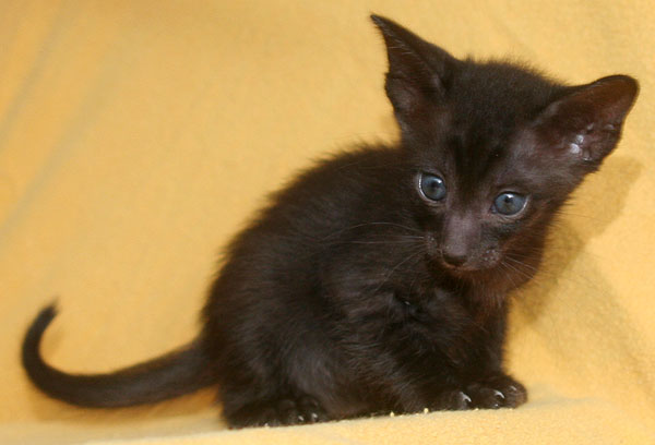 Photo: Carolin Skirl