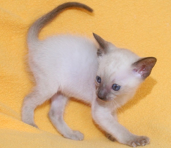 Photo: Carolin Skirl