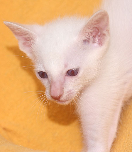 Photo: Carolin Skirl