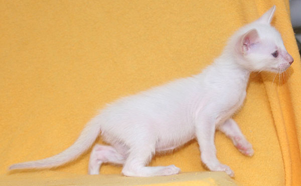 Photo: Carolin Skirl