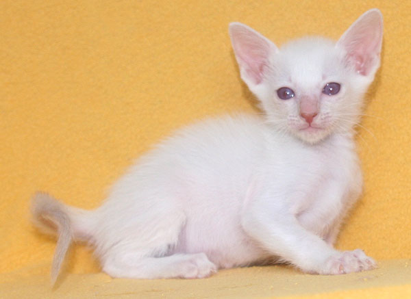 Photo: Carolin Skirl