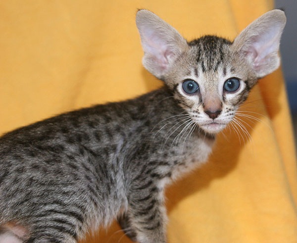 Photo: Carolin Skirl