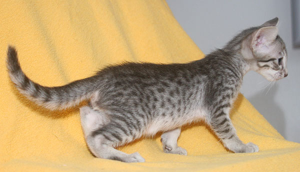 Photo: Carolin Skirl