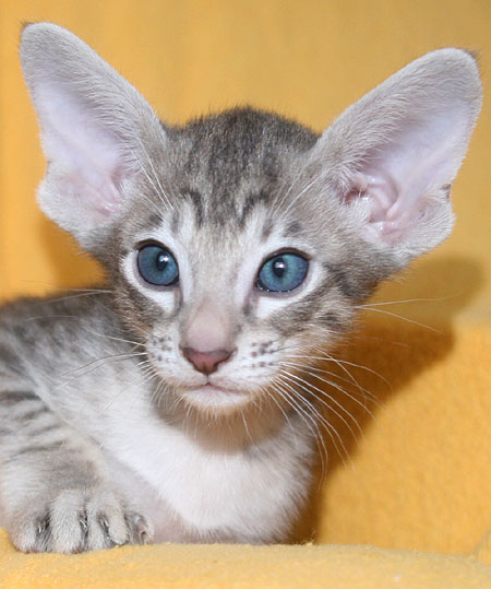 Photo: Carolin Skirl