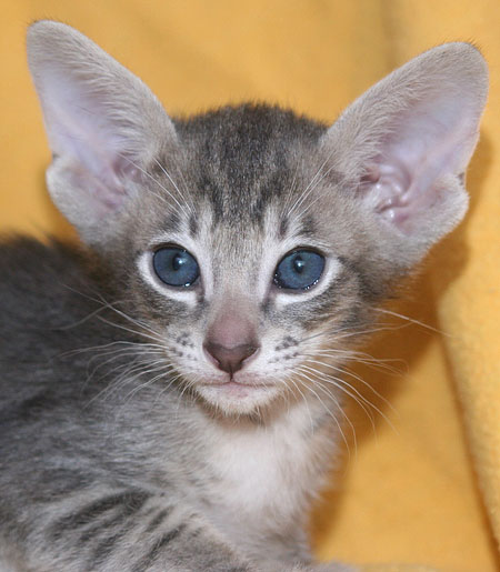 Photo: Carolin Skirl