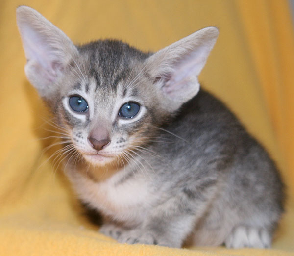 Photo: Carolin Skirl