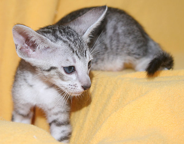 Photo: Carolin Skirl