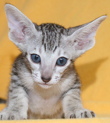 Photo: Carolin Skirl