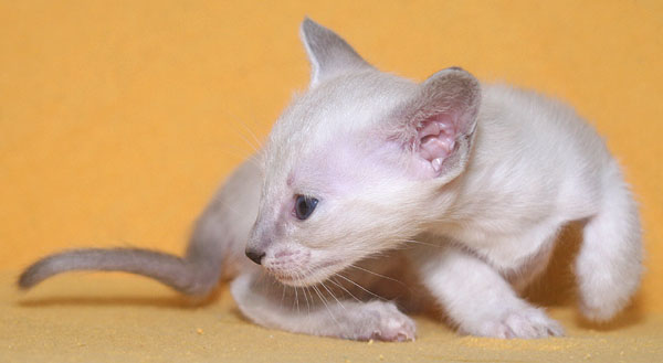 Photo: Carolin Skirl