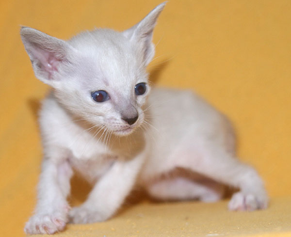 Photo: Carolin Skirl