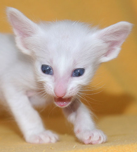 Photo: Carolin Skirl