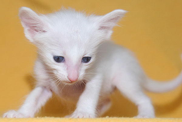 Photo: Carolin Skirl