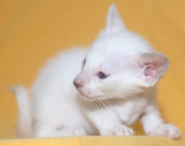 Photo: Carolin Skirl