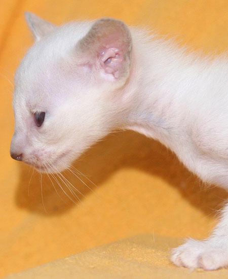 Photo: Carolin Skirl