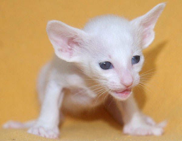 Photo: Carolin Skirl