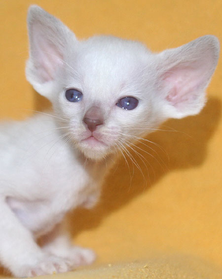 Photo: Carolin Skirl