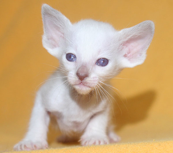 Photo: Carolin Skirl