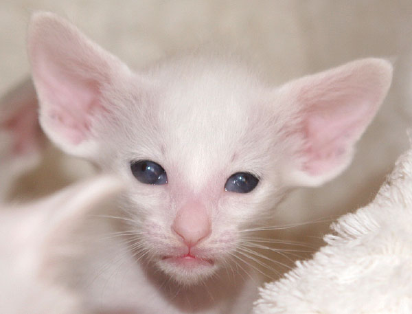 Photo: Carolin Skirl