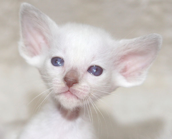 Photo: Carolin Skirl