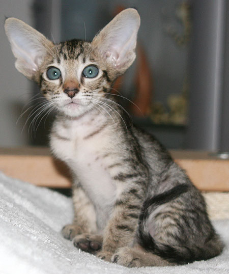 Photo: Carolin Skirl