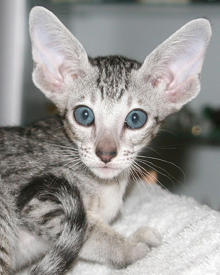 Photo: Carolin Skirl